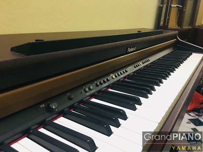 ROLAND HP-103 (11/06/19) 